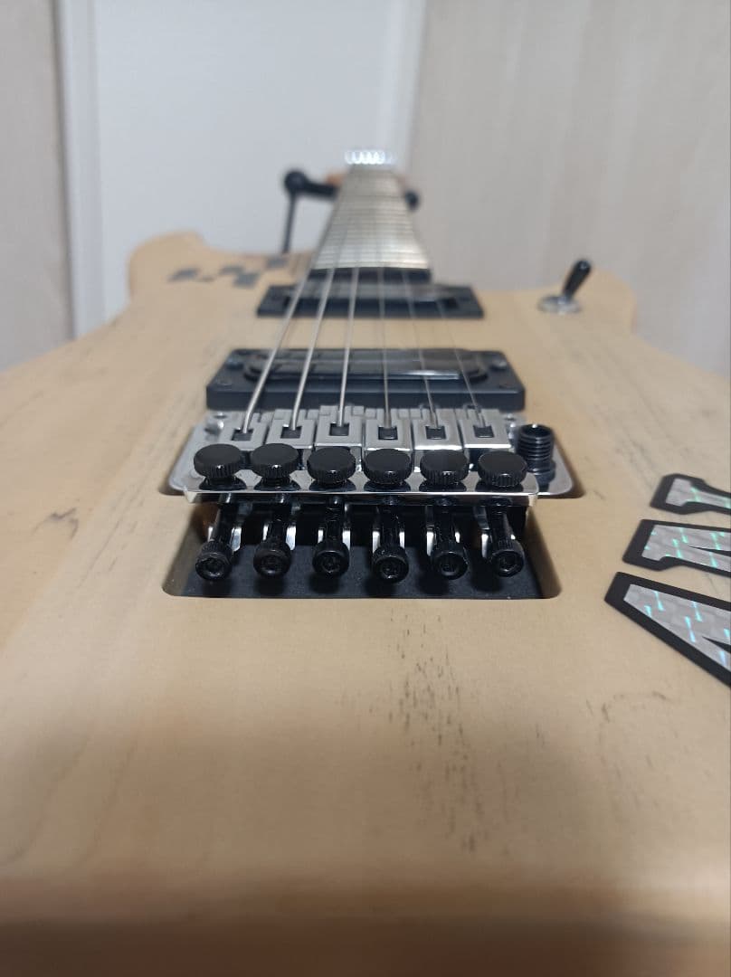 Usuke9　Washburn　N24 エレキギター　NUNO N4