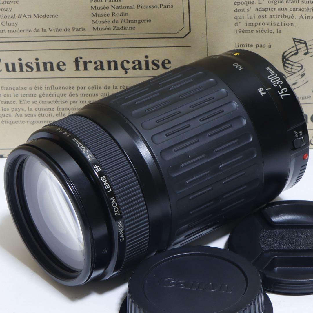 ◇大迫力300mm超望遠!!◇Canon純正 75-300mm 超望遠レンズ◇