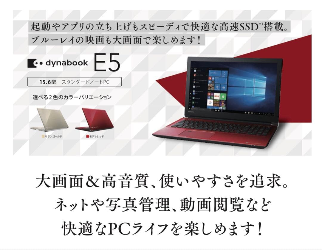 【Windows11】dynabook E5 15.6型 スタンダードノートPC