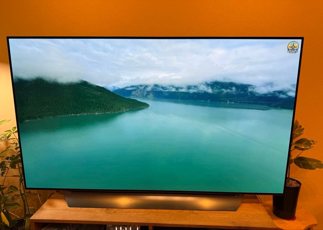 リュウ　美品 LG エルジー テレビ 有機ELテレビ