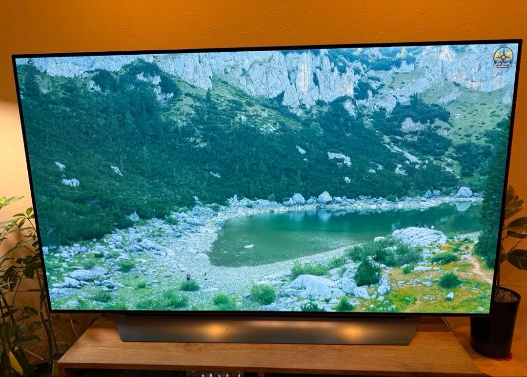 リュウ　美品 LG エルジー テレビ 有機ELテレビ