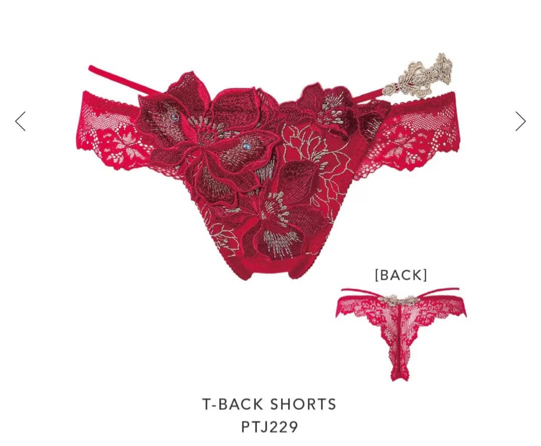 サルート 29グループ ガレ 店舗限定 新品タグ付P-upブラソング C75