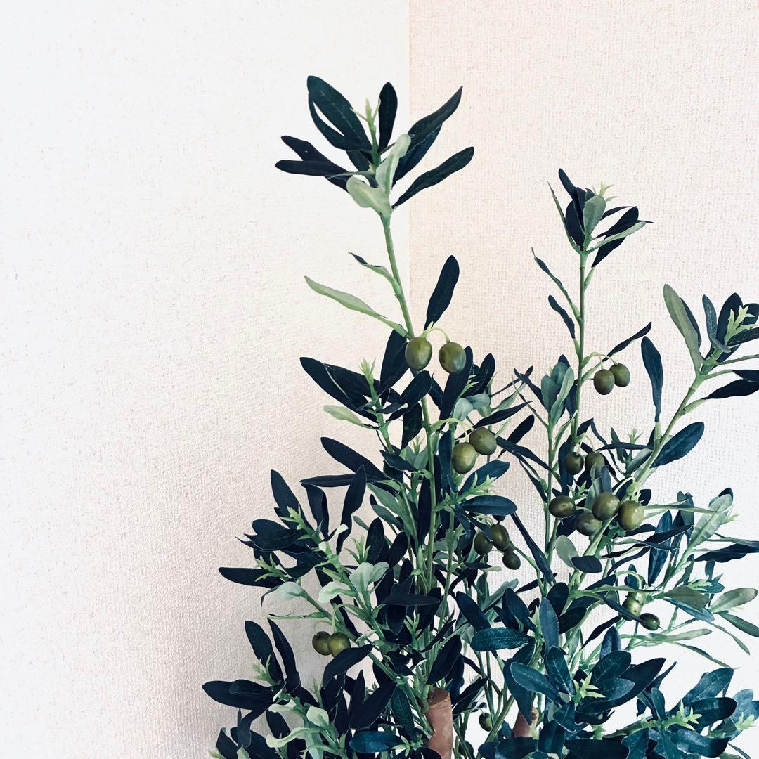 フェイクグリーン　オリーブ　人工観葉植物　光の楽園