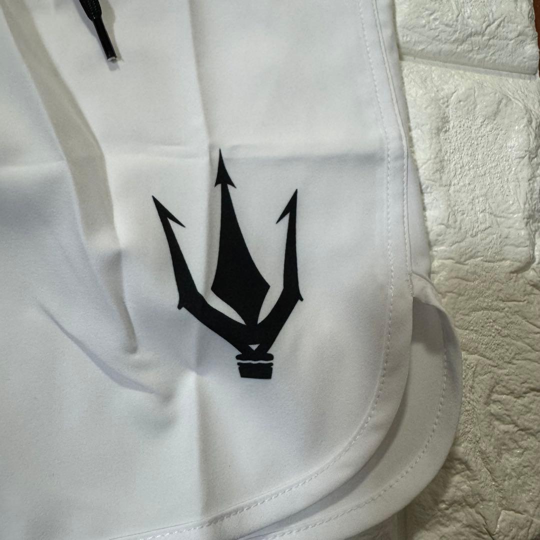 FIED ファイド　サーフパンツ　水着 ホワイト ストライプ　フィジーク　S