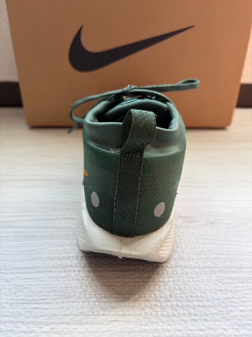 【極美品】Nike PEGASUS TRAIL 5 　ゴアテックス 26.0箱付