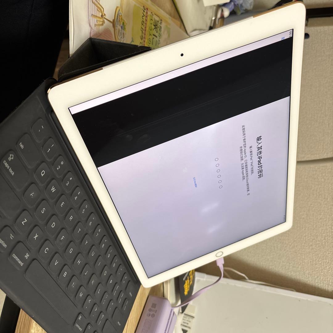 iPad本体 iPad Pro 12.9 256GB