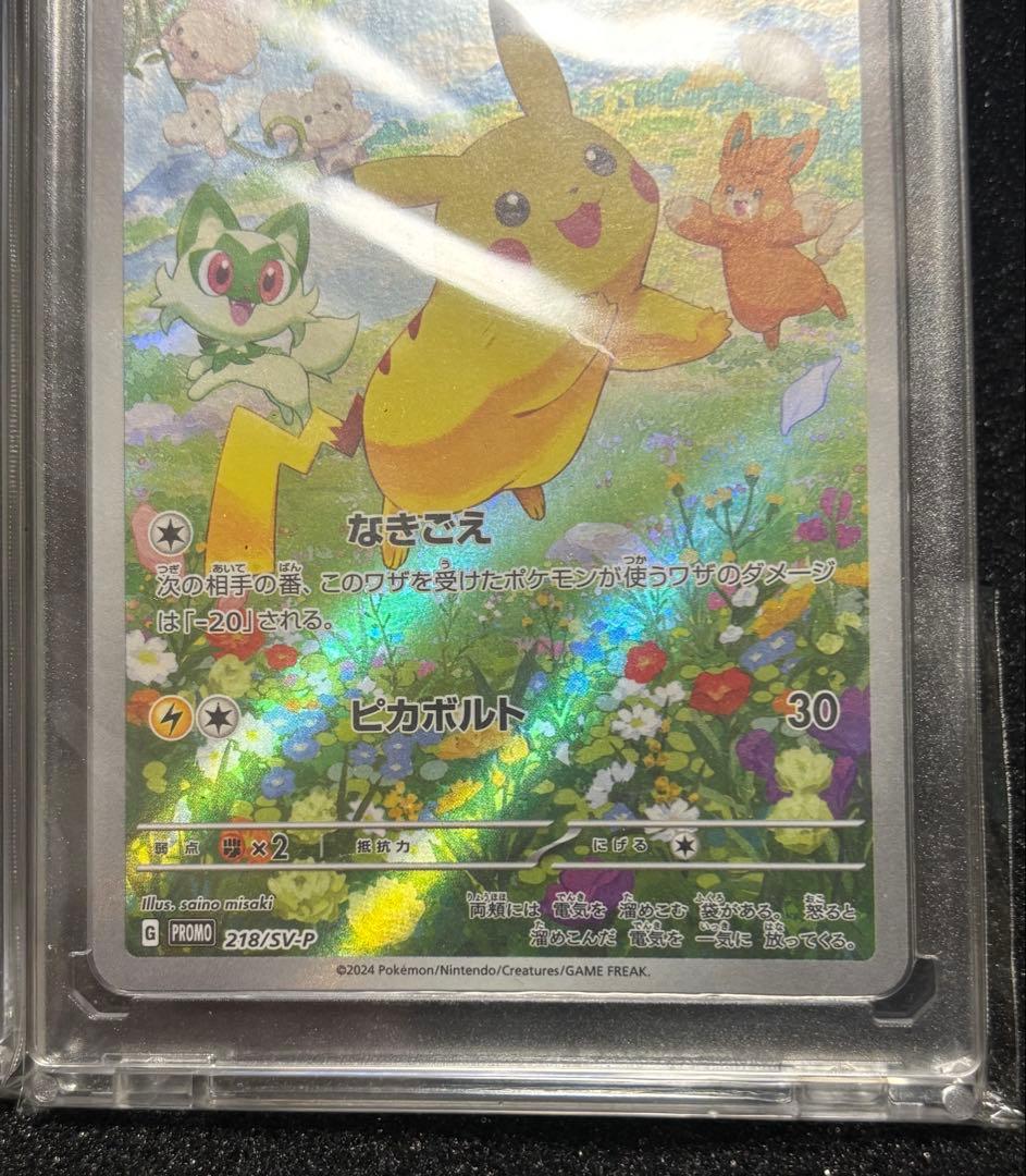 ピカチュウ：ポケカの夏がキタ！プロモカードGetキャンペーン！ 2枚セット