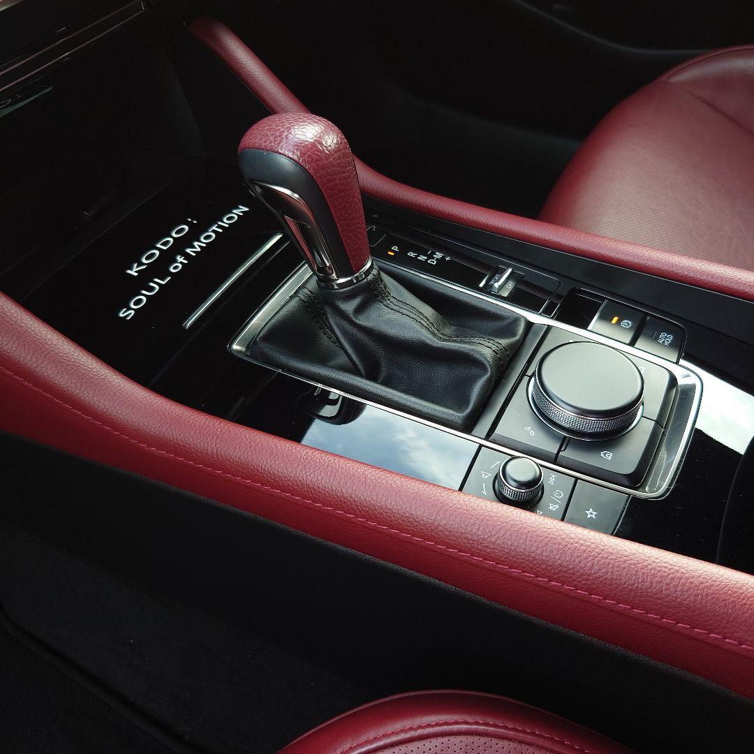 【1点もの】【貴重】マツダ3 サイドパネル バーガンディ カスタム usdm