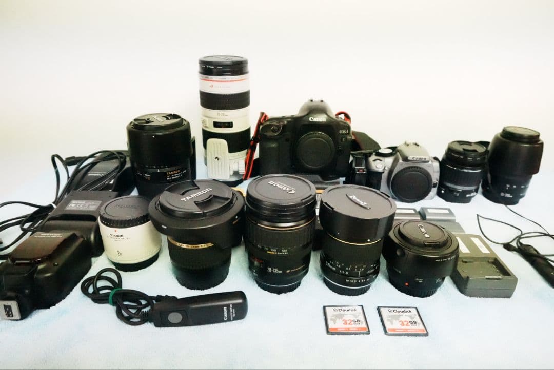 キャノンEOS1DマークIIN・EOSKissデジタルNダブルレンズキット