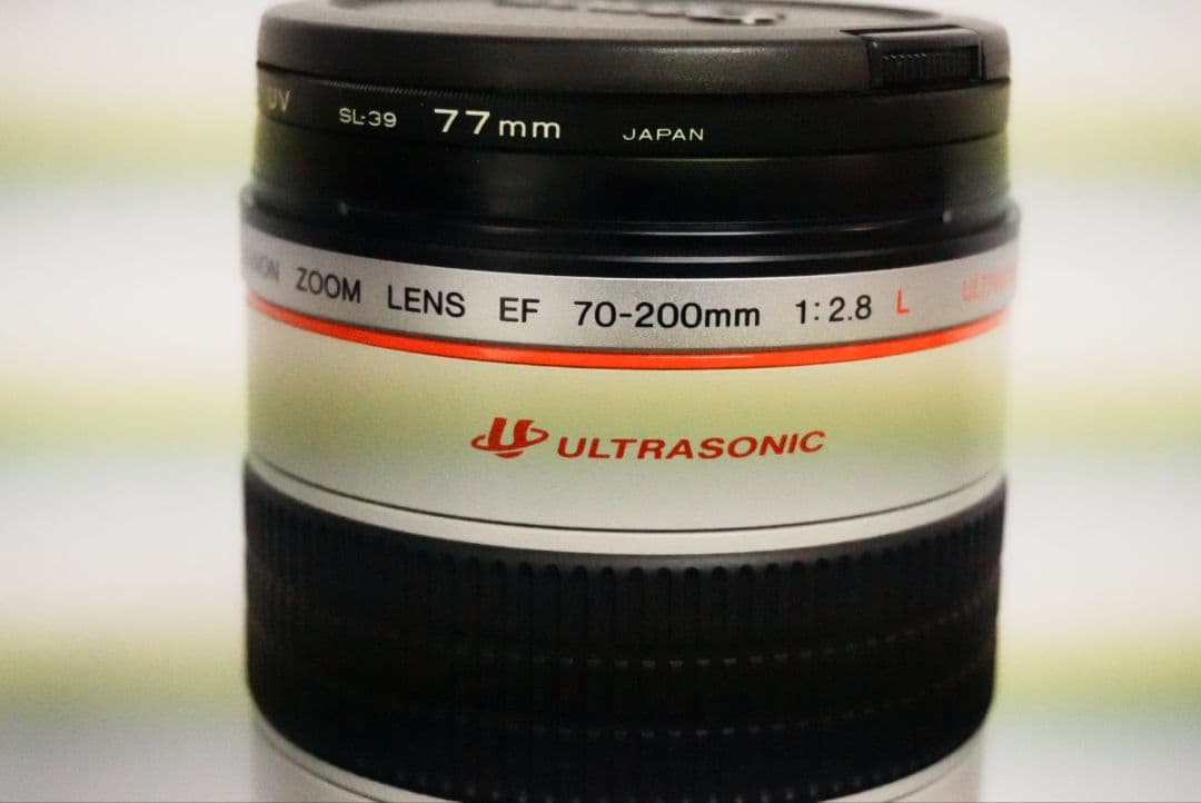 キャノンEOS1DマークIIN・EOSKissデジタルNダブルレンズキット