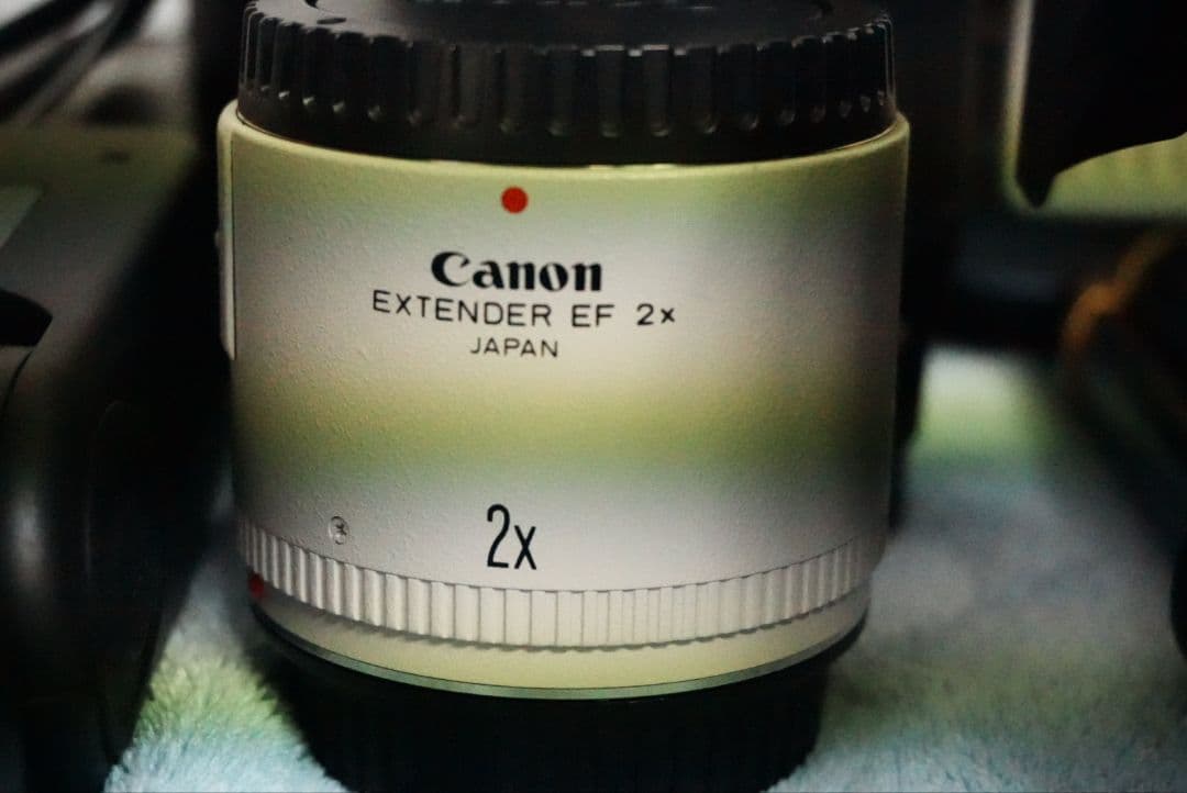 キャノンEOS1DマークIIN・EOSKissデジタルNダブルレンズキット