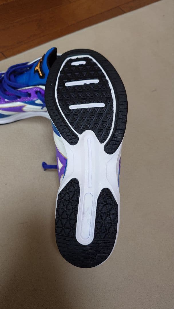 【新品未使用】ミズノプロ　オーダートレーニングシューズ　27.5cm