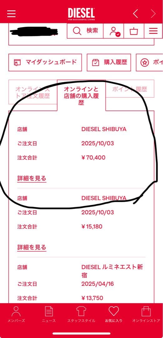 diesel ホーボーバック　L