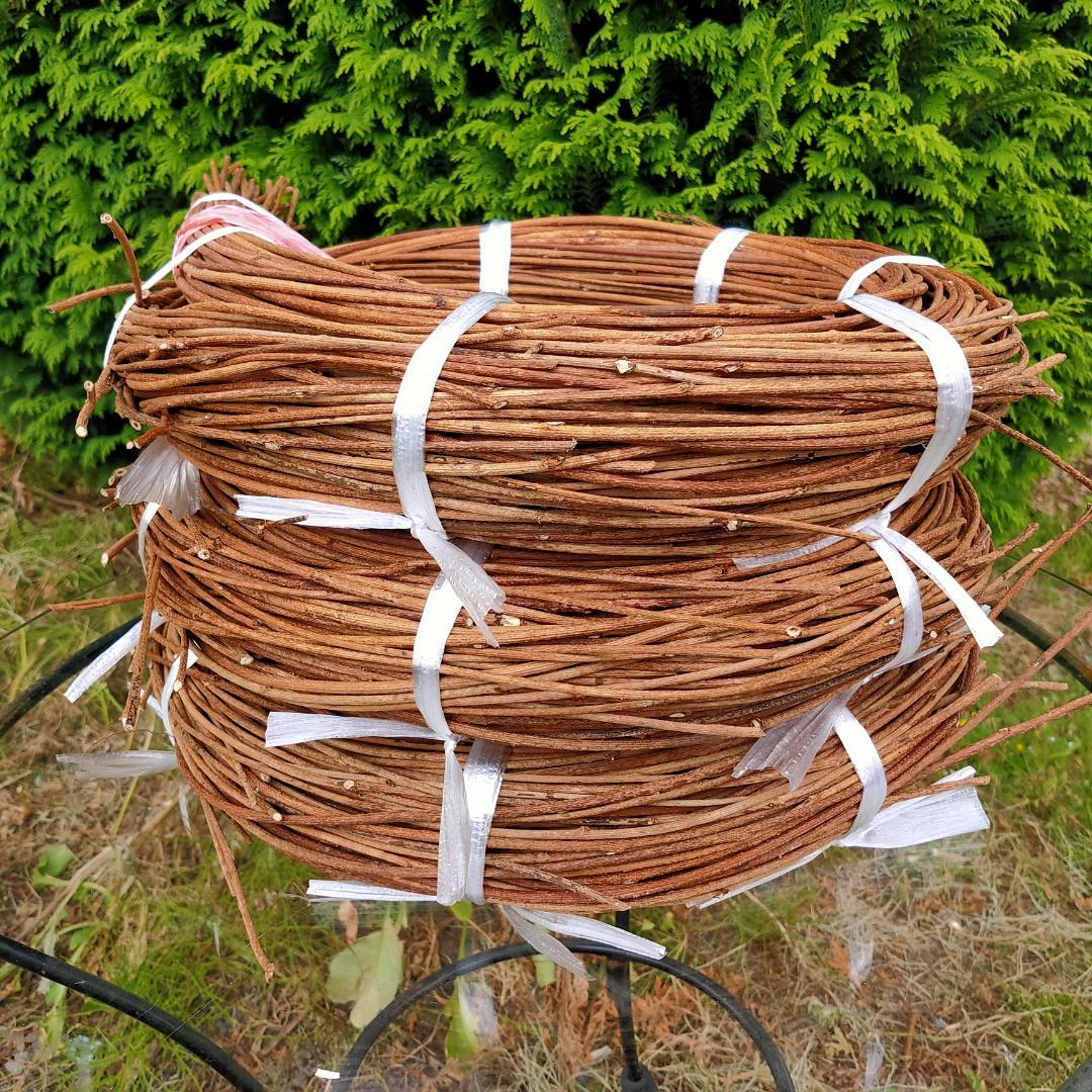 (注)青森県岩木山採取　あけび蔓　150cm～　3kg(依頼品)　2