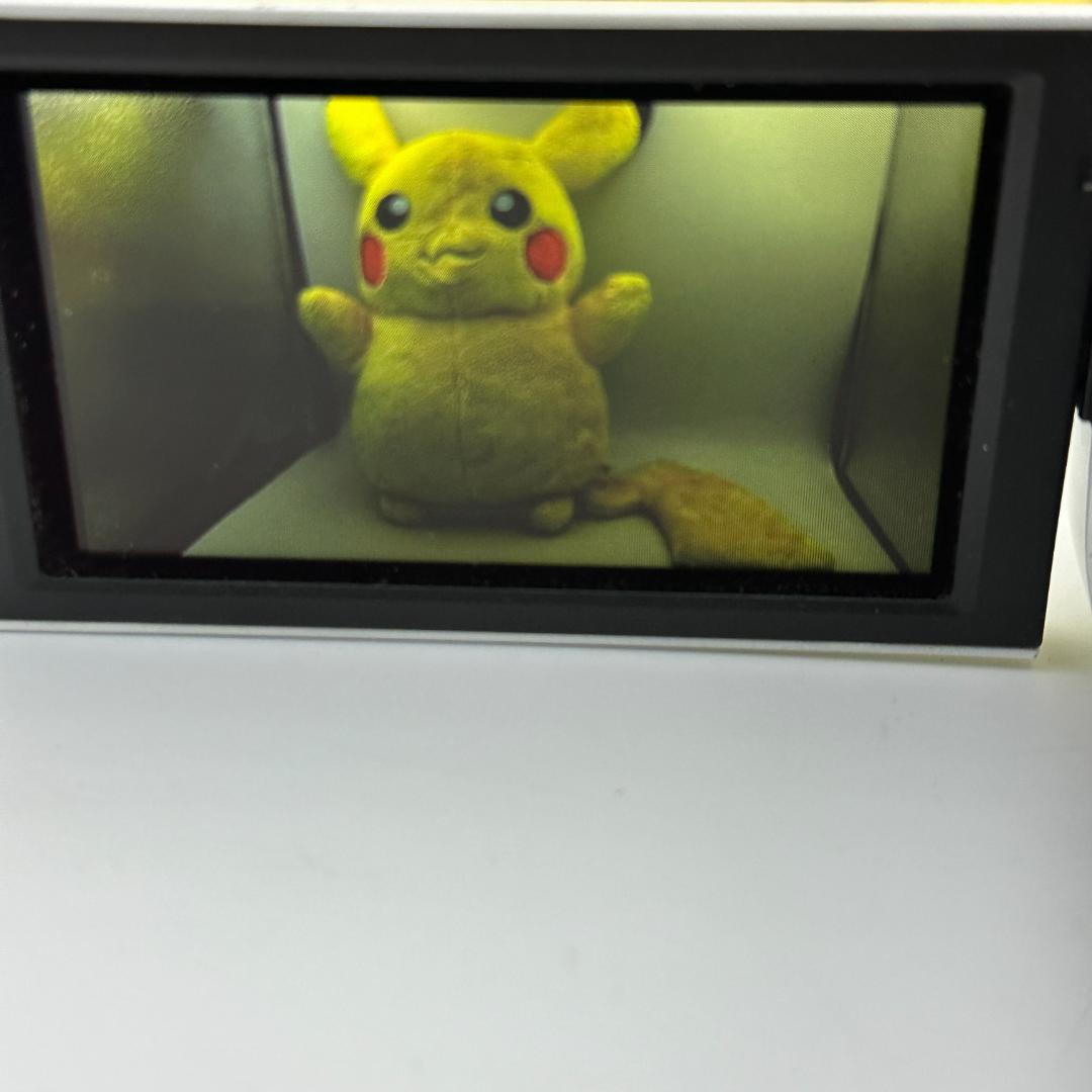 【概ね美品】ソニー SONY Handycam ホワイト HDR-CX420