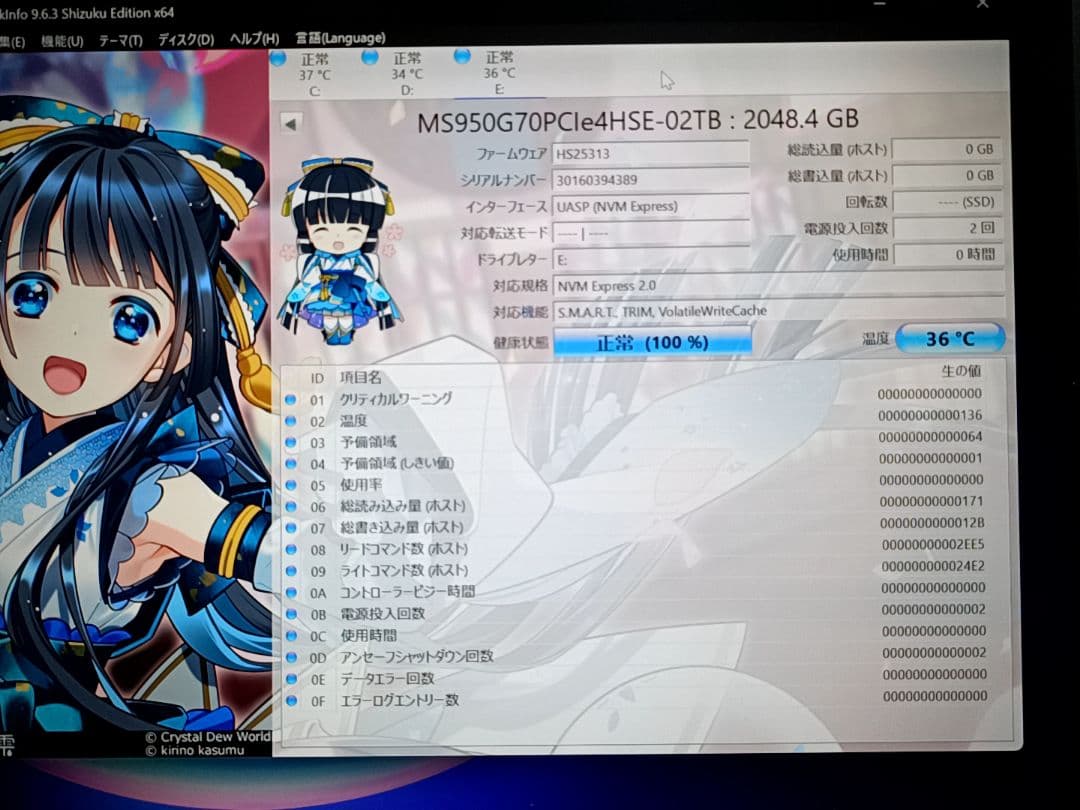 モンスターストレージ M.2SSD2TB MS950 NVMe ヒートシンク付き