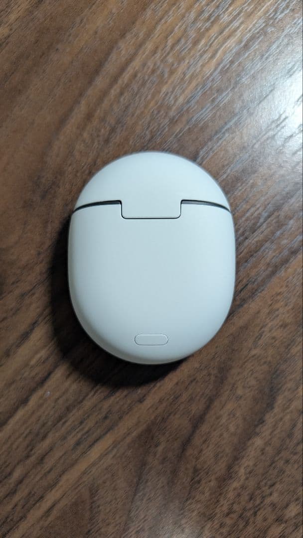 【数回使用・美品】Google Pixel Buds Pro Fog