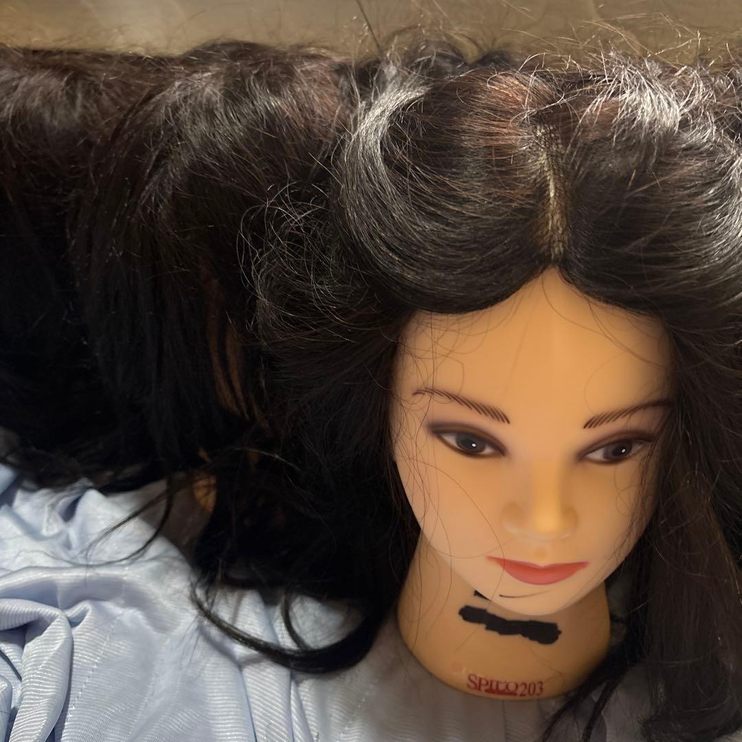 新品未使用！ 国家試験練習用カットウィッグ！　6台！