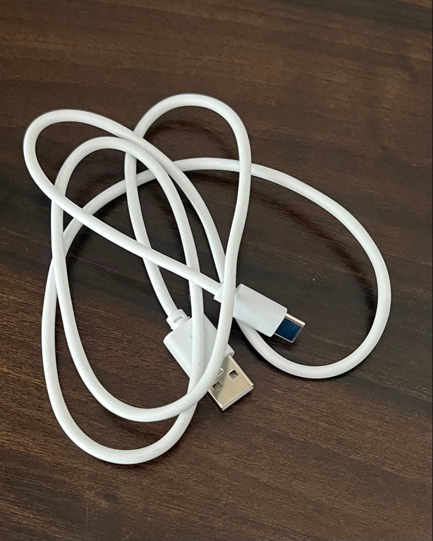 【まりか】SALONIA 美顔器 リフトブラシ シルバー USBケーブル付