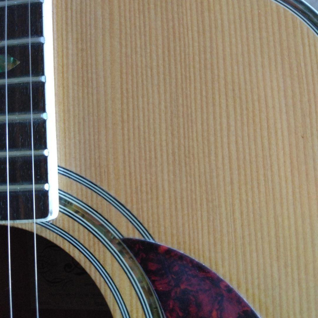 Aria アリア　ADW-300 アコースティックギター