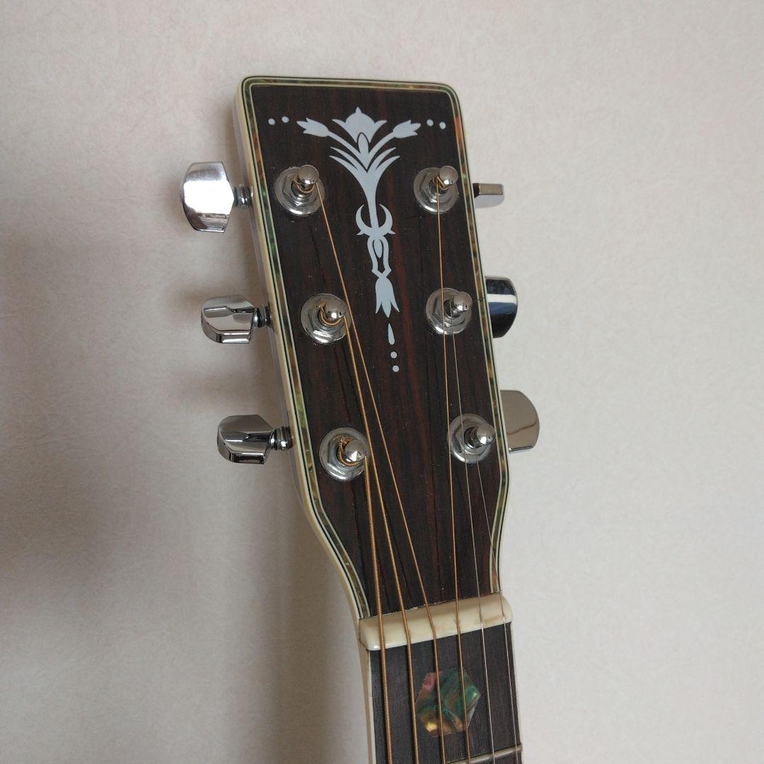 Aria アリア　ADW-300 アコースティックギター