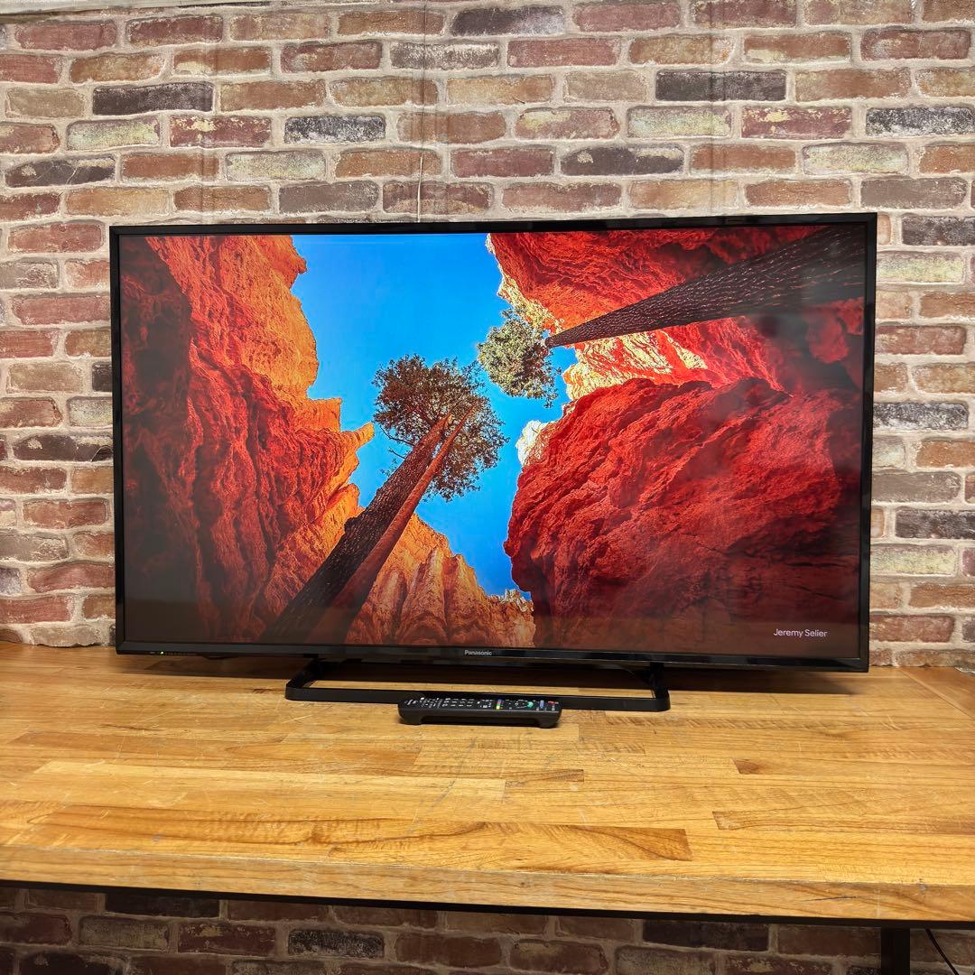 パナソニック 49V型 液晶テレビ VIERA TH-49E300HT