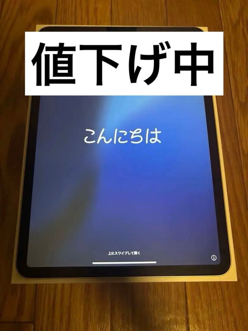 iPadpro11インチ　Wi-Fiモデル　256GB Apple pencil