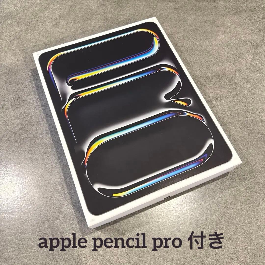 【美品】iPad Pro 13 M4 黒 512 ペン付き