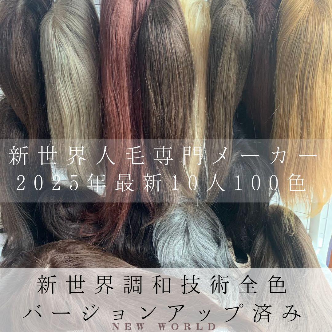 2025新世界ウィッグ　高級人毛100% レミー人毛　限定色　超ロングヘア