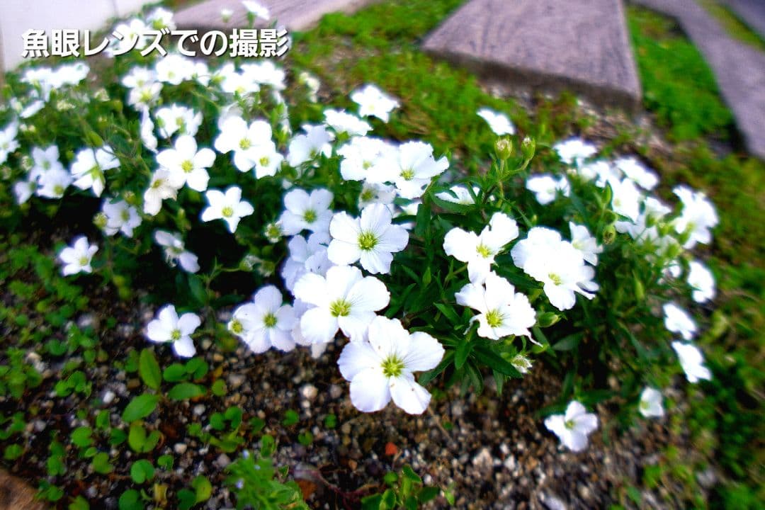 SONY αシリーズ ミラーレス一眼 ZV-E10L パワーズームレンズキット