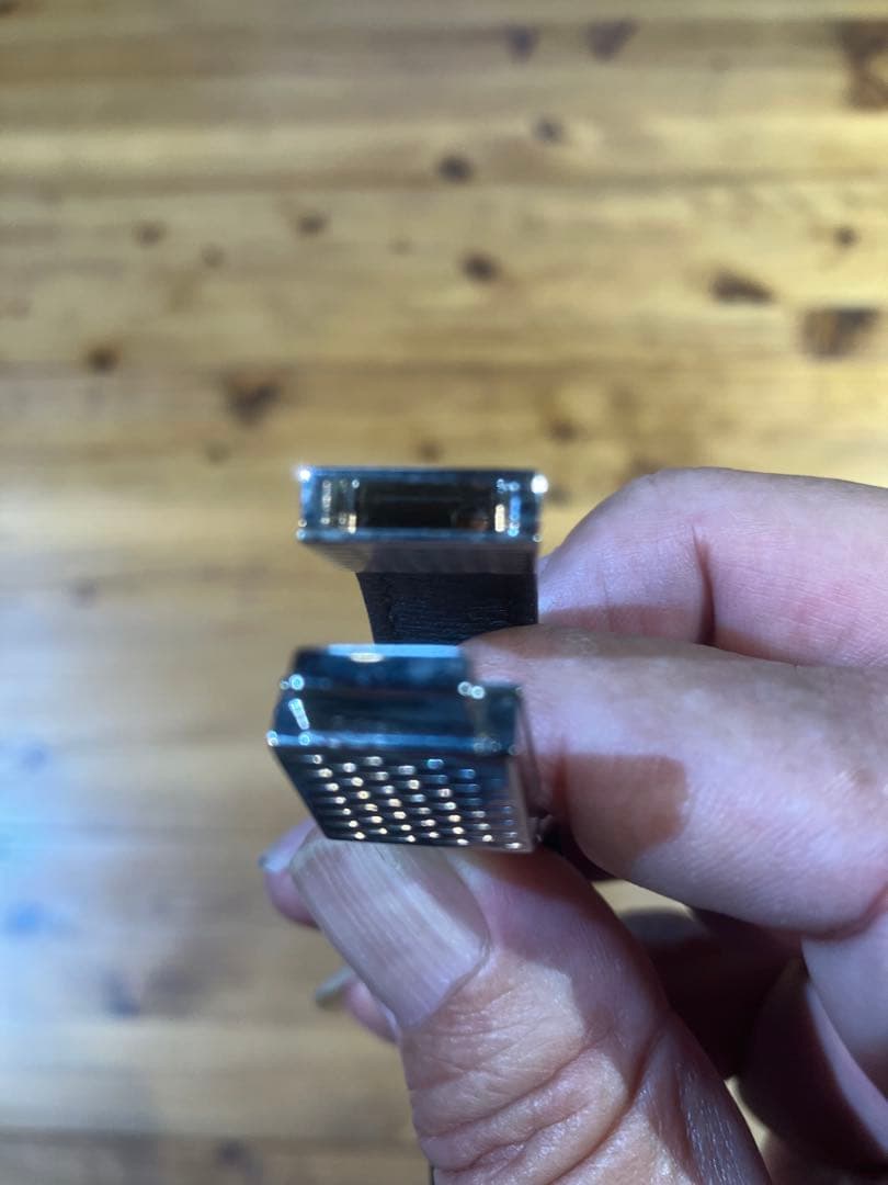 ダイバーハヤゴン　　LOUIS VUITTON ルイ・ヴィトン