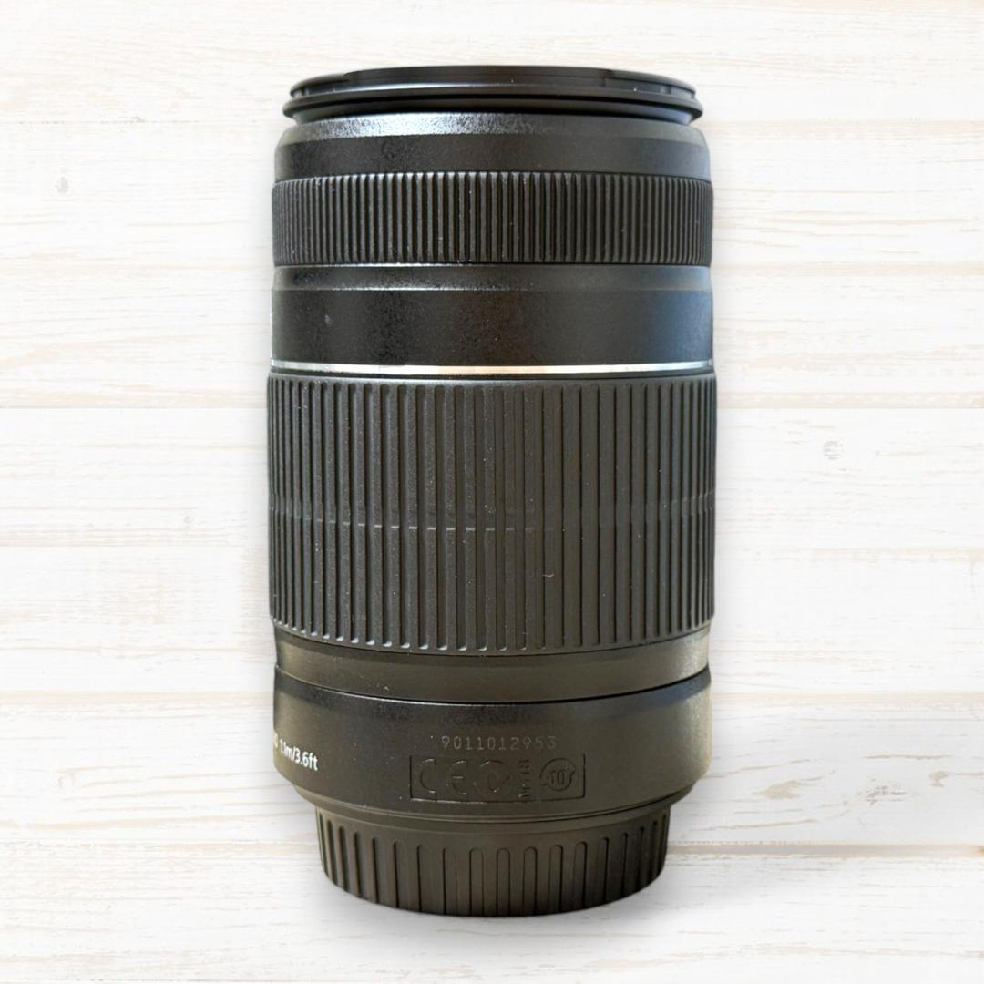 Canon ズームレンズ EF-S 55-250mm IS Ⅱ #93