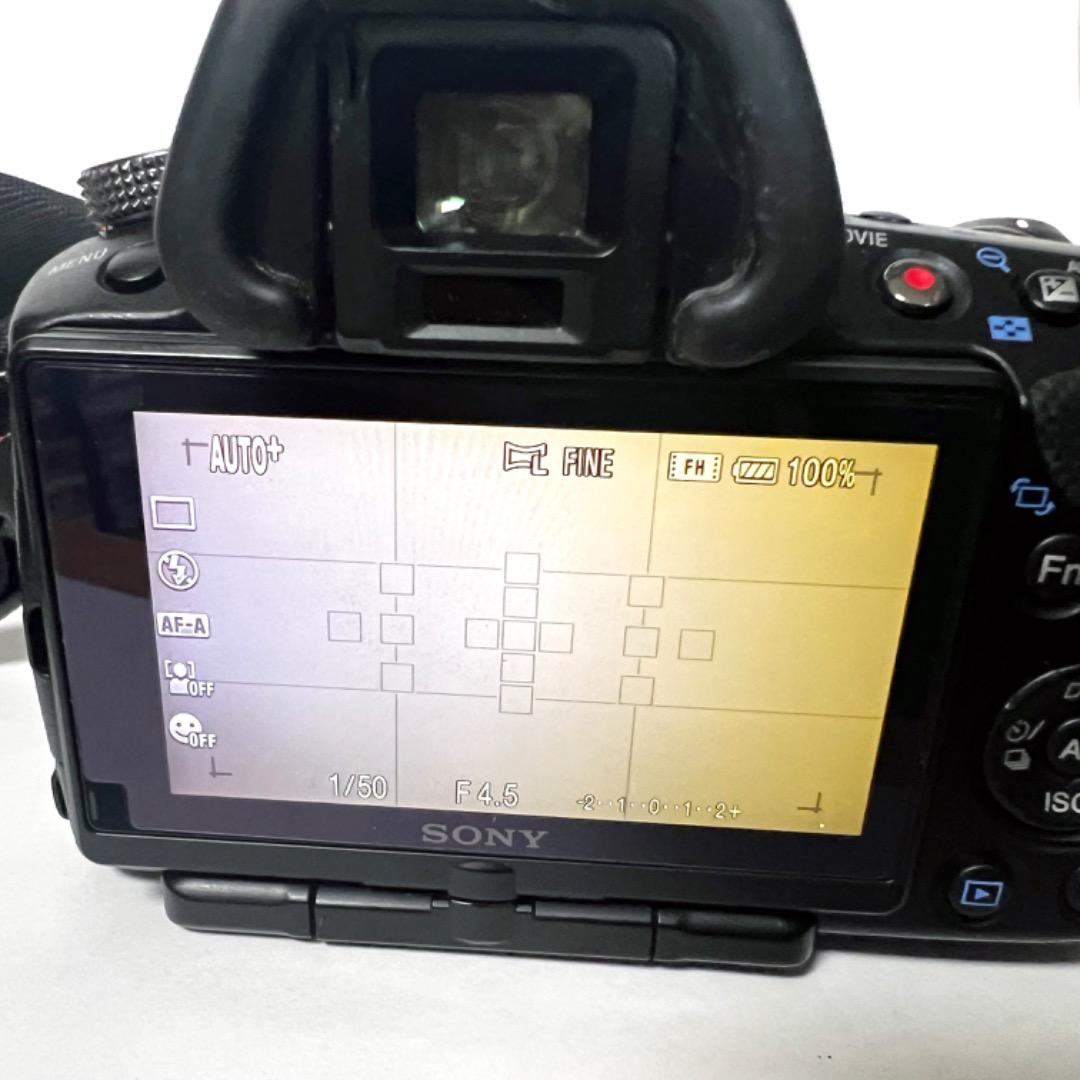 【SONY α33】すぐ使えるフルセット