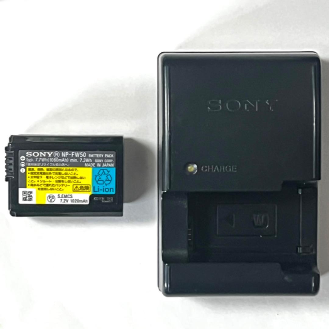 【SONY α33】すぐ使えるフルセット