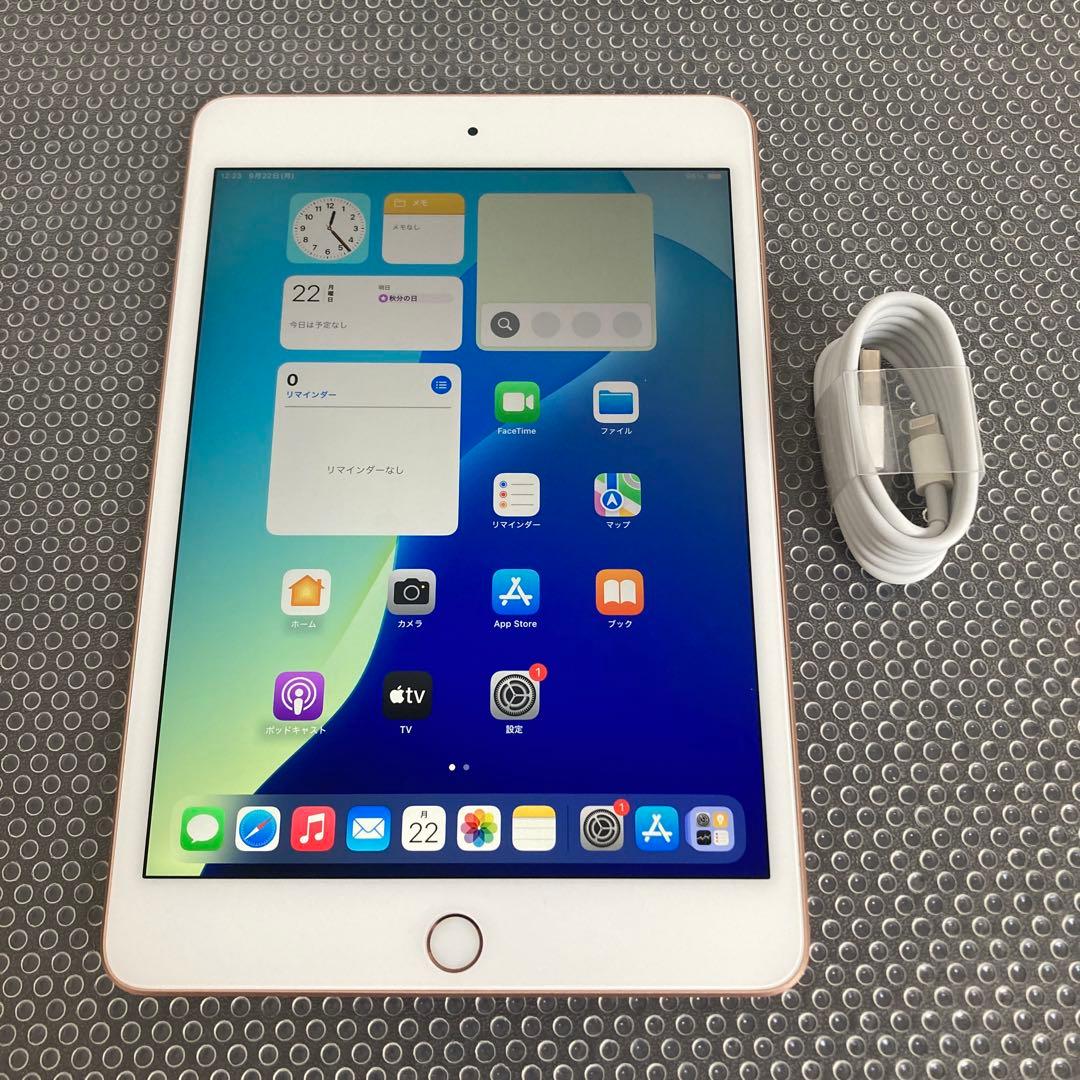 2653【早い者勝ち】美品☆電池良好☆iPad mini5 第5世代 64GB☆