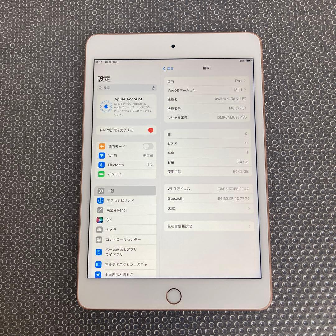 2653【早い者勝ち】美品☆電池良好☆iPad mini5 第5世代 64GB☆