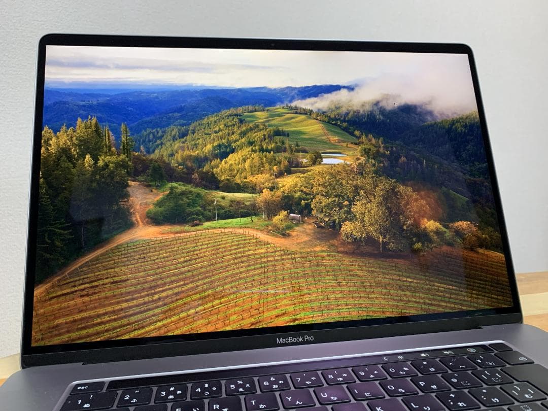MacBook Pro 16インチ 2019 / 16GB/1TB/Corei9