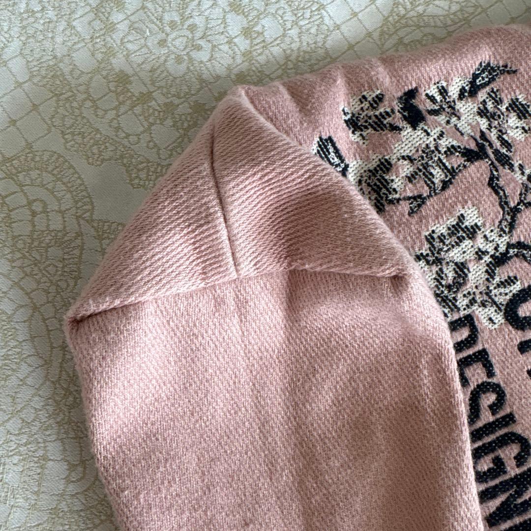 Christian Dior designer of dream 2022バッグ