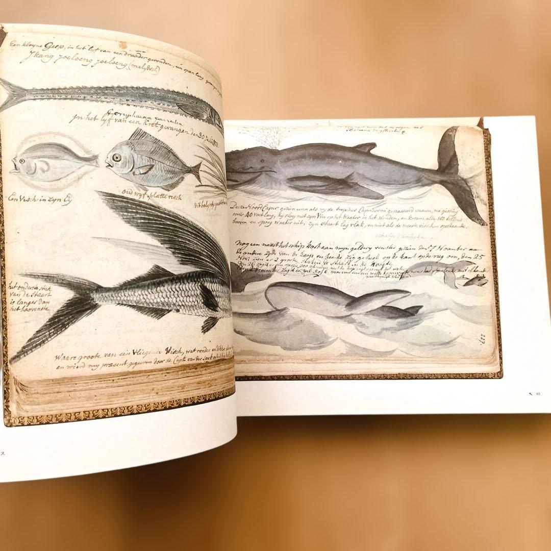 【短期出品です】冒険家たちのスケッチブック 発見と探検のリアル・グラフィックス