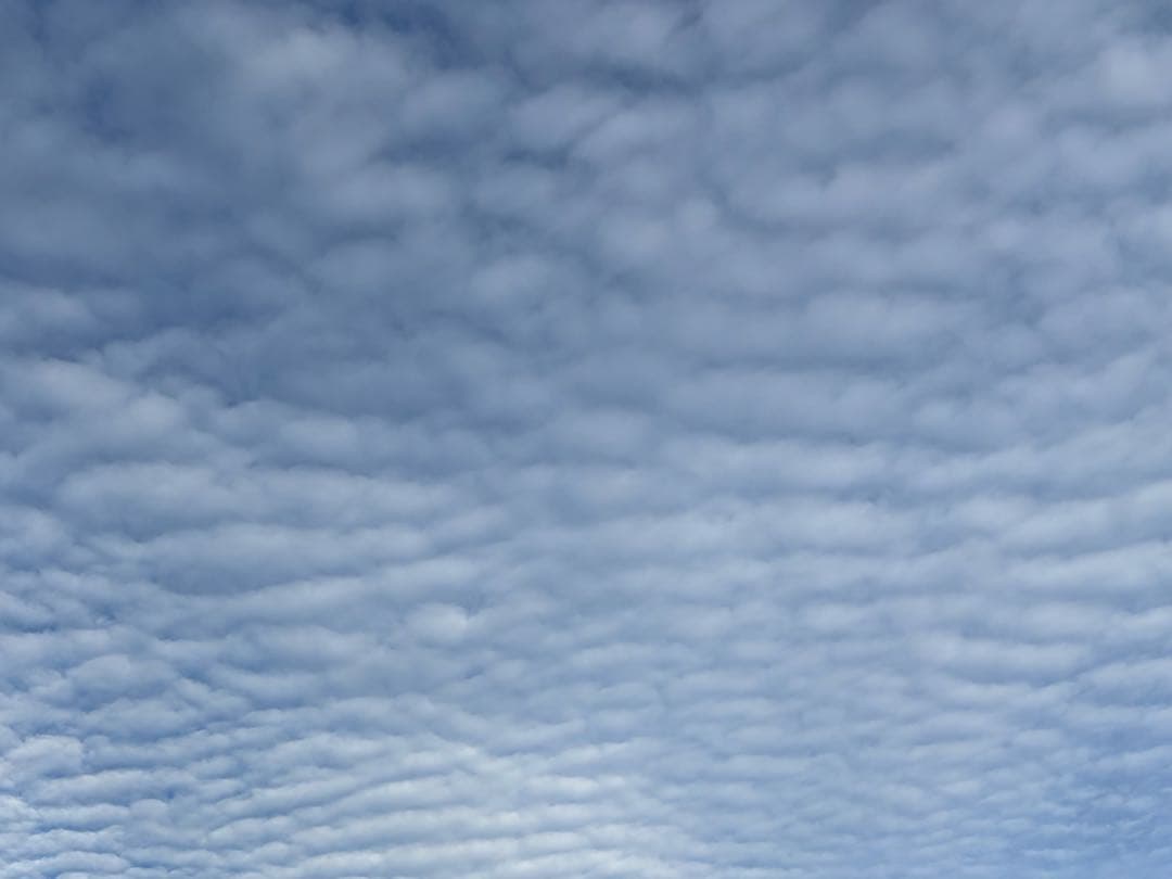 IZUMO⭐︎ プーアボーテ　ネックウォーマー