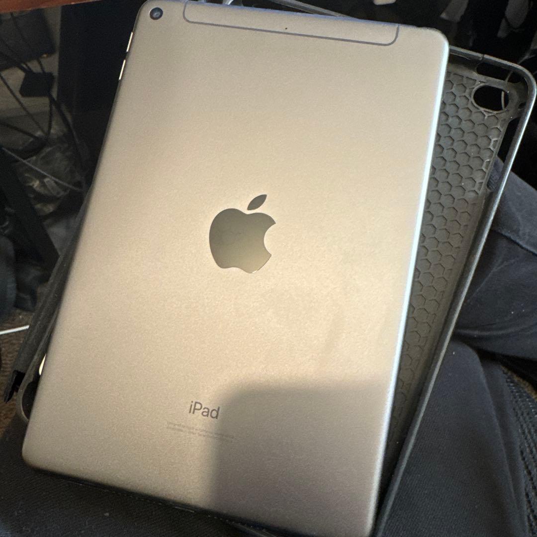 iPad mini 第5世代 256GB セルラー Apple Pencil付