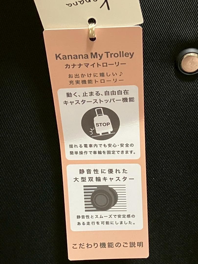 【新品未使用】カナナプロジェクト マイトローリー 24L ブラック 静音　外箱無