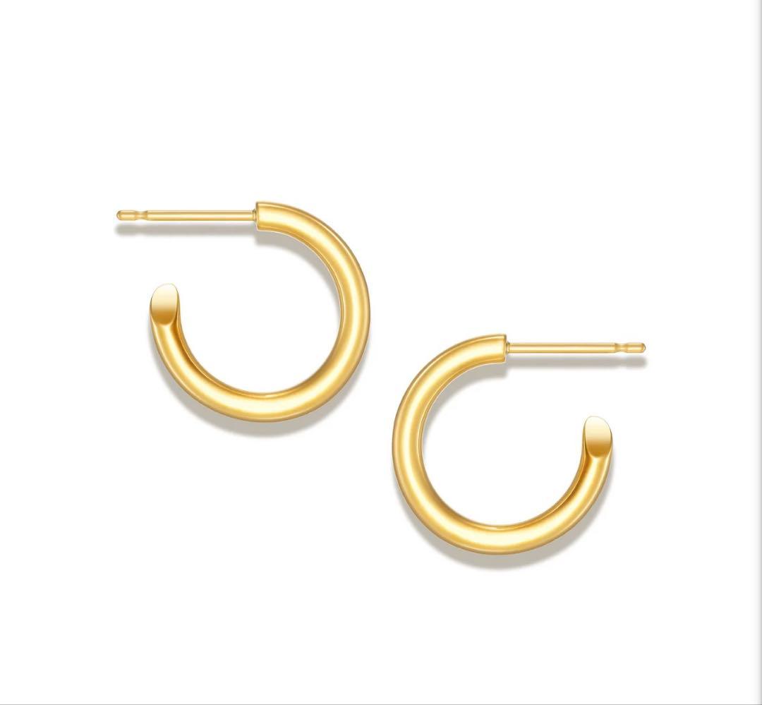 CAREERING PLACEBO 301 キャリアリング　ピアス