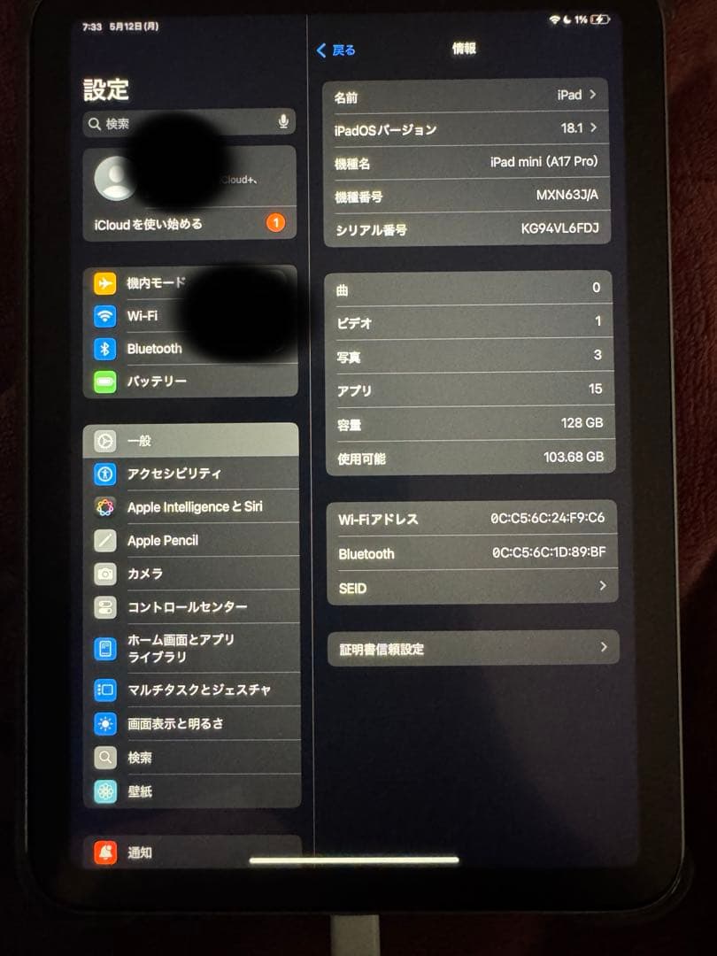 iPad mini 128GB WiFi 第7世代 スペースグレイ