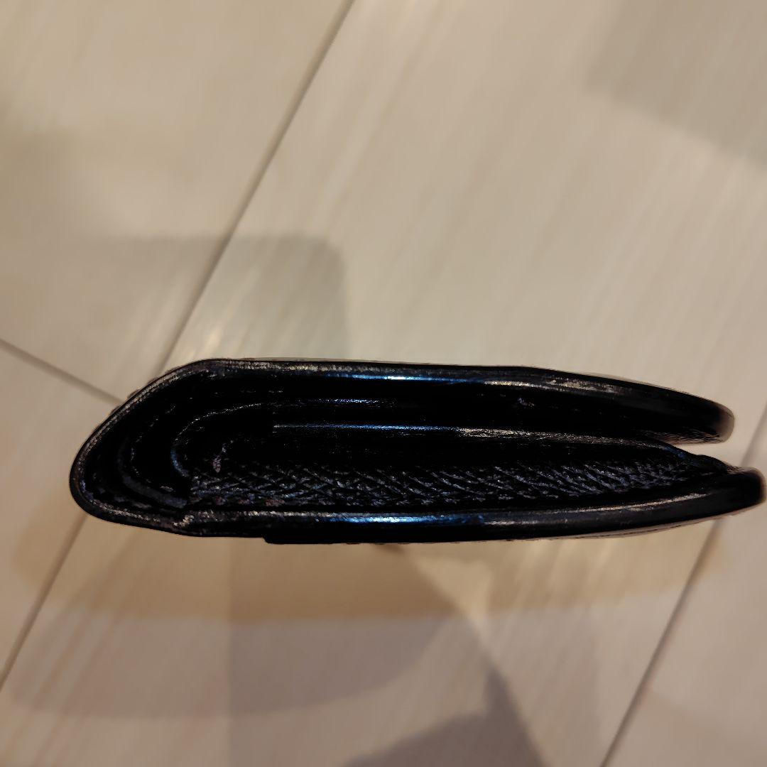 ワイルドスワンズ　カーサ