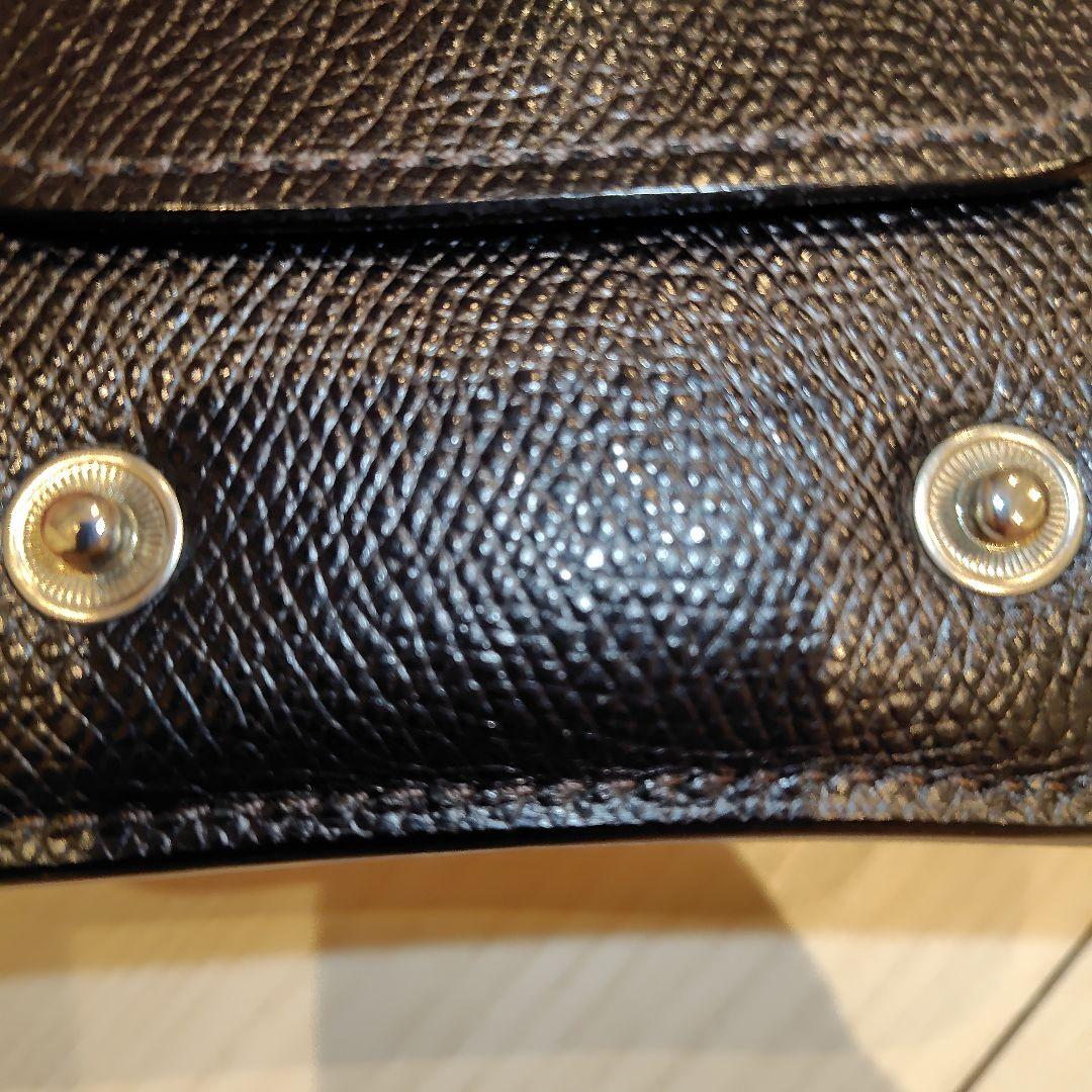 ワイルドスワンズ　カーサ