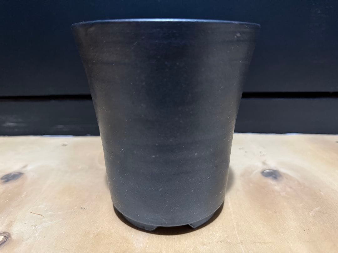 鉢・プランター SRL . DEN-3M / CE-PLANT POT BLACK
