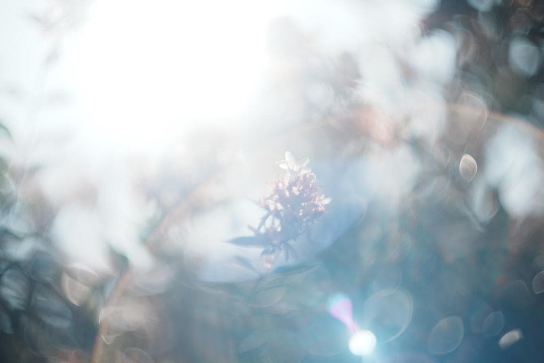 Leitz Summarit 50mm f1.5 銘玉ズミルックス直前の祖先