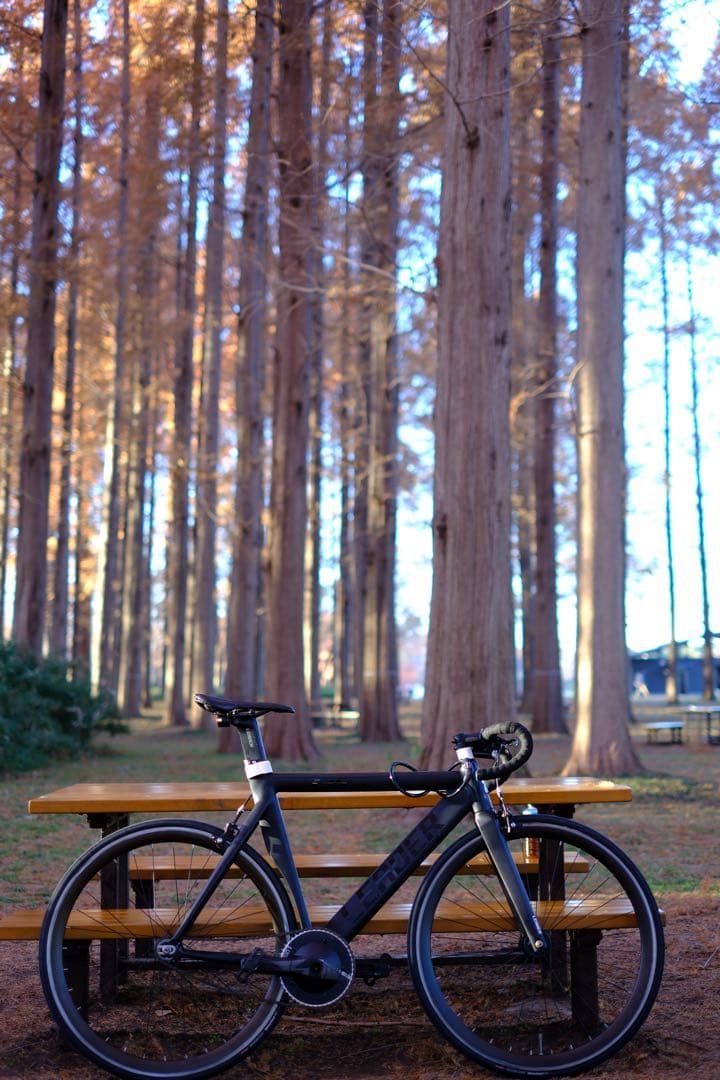 LEADER735 ピストバイク ブラック Lサイズ