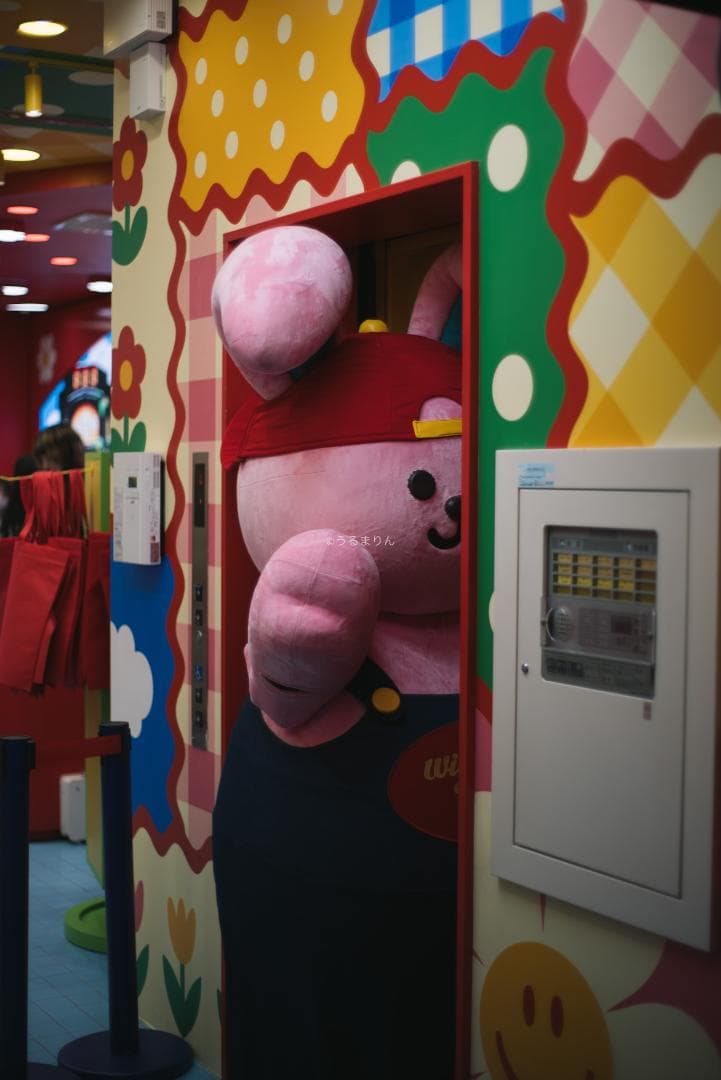 棚卸SALE！黒刻印！標準の帝王 Planar 50mm F1.4 AEJ